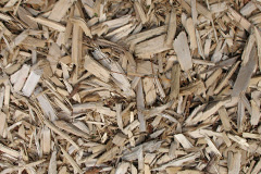 biomass boilers Dungeness